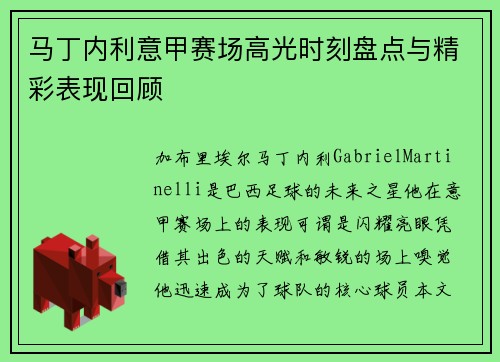 马丁内利意甲赛场高光时刻盘点与精彩表现回顾